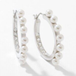 Touchstone Crystal Make an Impression Earrings